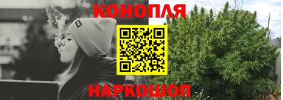 apvp Можга