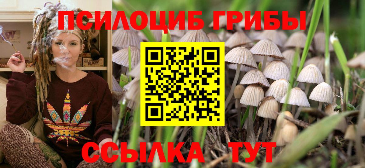 продажа наркотиков  Галлюциногенные грибы GOLDEN TEACHER  Вход с VPN  Александров 